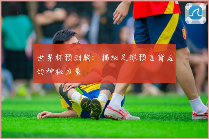 世界杯预测胸：揭秘足球预言背后的神秘力量