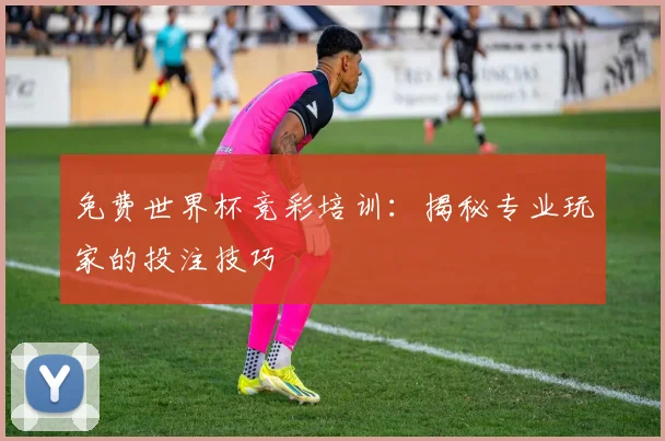 免费世界杯竞彩培训：揭秘专业玩家的投注技巧