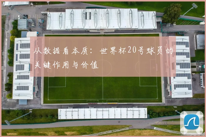 从数据看本质：世界杯20号球员的关键作用与价值