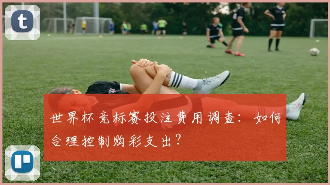 世界杯竞标赛投注费用调查:如何合理控制购彩支出?