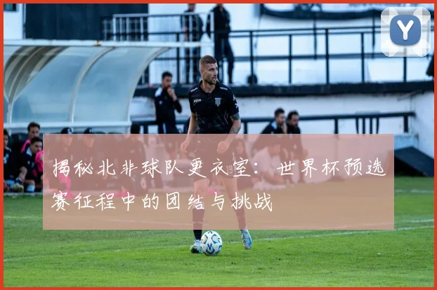 揭秘北非球队更衣室：世界杯预选赛征程中的团结与挑战