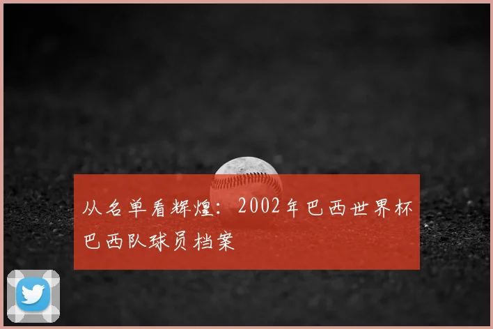 从名单看辉煌：2002年巴西世界杯巴西队球员档案