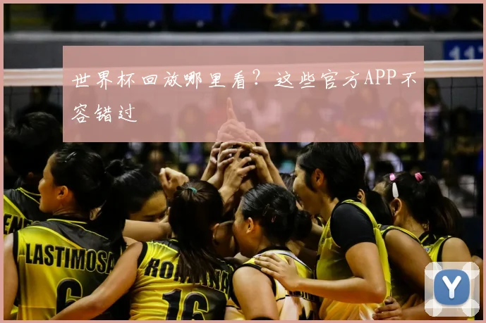 世界杯回放哪里看?这些官方APP不容错过